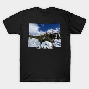 Colorado State Outline (Winter Mountains) T-Shirt